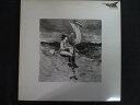 LP/レコード 0225■森園勝敏/BAD ANIMA/SKS8003