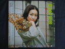 LP/レコード 0242■麻丘めぐみ/白壁の肖像/2LP/SJV9056
