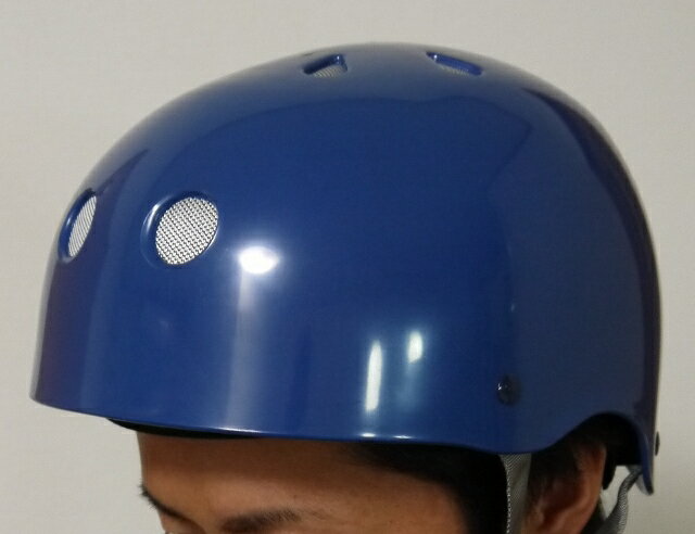 CAPIX DANNY KASS Helmet キャピックス ダニー・キャスモデル ヘルメット スノーボード プロテクター