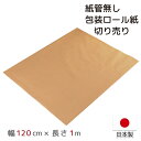 ■商品仕様 〇サイズ幅：約120cm長さ：約1m〇素材クラフト紙ポリエチレン〇仕様1m単位での切り売り日本製幅120cm×長さ1m〇注意事項・発送の際折り畳んで発送する場合がございます。折り目が気になる場合は、事前にご相談くださいませ。基本的に、発送後の返品交換は承っておりません。・梱包・保管の都合により、商品に折り目や折りシワがございます。あらかじめご了承くださいますようお願い申し上げます。〇商品コメント・裏面防水コーティング仕様のクラフト紙に、さらにポリクロスを貼り付けた構造で耐久性と耐水性バツグンです。中身が透けにくいです。・包装・梱包時にご利用でき、緩衝材としても便利です。・ヤマト運輸（宅急便・コンパクト便・ネコポス・クロネコDM便） ／ 佐川急便（飛脚宅配便・飛脚メール便） ／ 日本郵便（ゆうパック・ゆうパケット・クリックポスト） ／ 西濃運輸（カンガルー特急便、ミニ便） ／ 福山通運 ／ エコ配 等々…様々な荷物の発送にどうぞ ■ご注文に際して ※1 掲載している商品画像は、実際の色味に近づくよう調整しておりますが、ご覧頂くモニターや、実際ご利用になる場所の光加減で左右されます。　　 ※2 カラー名は商品の色を特定するものではなく、管理上の表記としてのものです。　　 ※3 当商品は一部手作業により生産されており、縫製に若干の歪みや表示サイズに誤差(±数cm程度)がある場合がございます。 ※4 他店舗でも同時販売しておりますので、売り違い（売り切れ）の際にはご容赦くださいますようお願い致します
