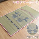 ■商品仕様 〇サイズ 約70×120cm 〇素材 表：い草100％中、裏：ポリエステル100％ 〇仕様 ・さらりと快適ない草のサマーシーツ。 ・い草の特徴の抗菌、防臭、調湿効果で夏のお昼寝も快適に。 ・い草は天然素材なので小さなお子様も安心してお使いいただけます。 丸めるとコンパクト収納できます。季節終わりの保管時に場所を取らず収納できます。 〇注意事項 ※天然素材を使用しておりますので、多少の色ムラ、織りムラがあります。また、い草繊維に沿っては柔軟性に優れていますが、横には折れやすい特質を持っていますので、横には折り曲げないでご使用ください。 ※ご使用前の空拭きで強くこすったり、水拭きをすると変色の恐れがありますのでおやめください。軽く拭くだけで結構です。 ※商品がお手元に届きましたら、すぐに開けて商品の状態(商品間違いや不具合）をご確認下さい。 到着後3日を過ぎてのご連絡には返品・交換などの対応ができなくなります。ご注意下さい。 ※湿気が多いところでのご使用や水濡れはカビ発生の原因となります。万一、カビが発生した場合は早めに日陰で裏干し（直射日光に当たると日焼けや変色の原因となります。）を行い、風通しの良い場所でブラシなどでカビを掃いて下さい。 ※収納および保管される場合は一度日陰干しをしてから、高温多湿の場所を避けて保管してください。 ■ご注文に際して ※1 掲載している商品画像は、実際の色味に近づくよう調整しておりますが、ご覧頂くモニターや、実際ご利用になる場所の光加減で左右されます。　　 ※2 カラー名は商品の色を特定するものではなく、管理上の表記としてのものです。　　 ※3 当商品は一部手作業により生産されており、縫製に若干の歪みや表示サイズに誤差(±数cm程度)がある場合がございます。 ※4 他店舗でも同時販売しておりますので、売り違い（売り切れ）の際にはご容赦くださいますようお願い致します