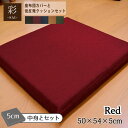 【カバー&中身セット】座布団 おしゃれ 和風 低反発 彩 紬風生地 5cm ウレタン レッド 50 54 5cm 洗濯可 エスニック アジアン 低反発ウレタン 厚タイプ おしゃれ 可愛い かわいい オフィスにも…