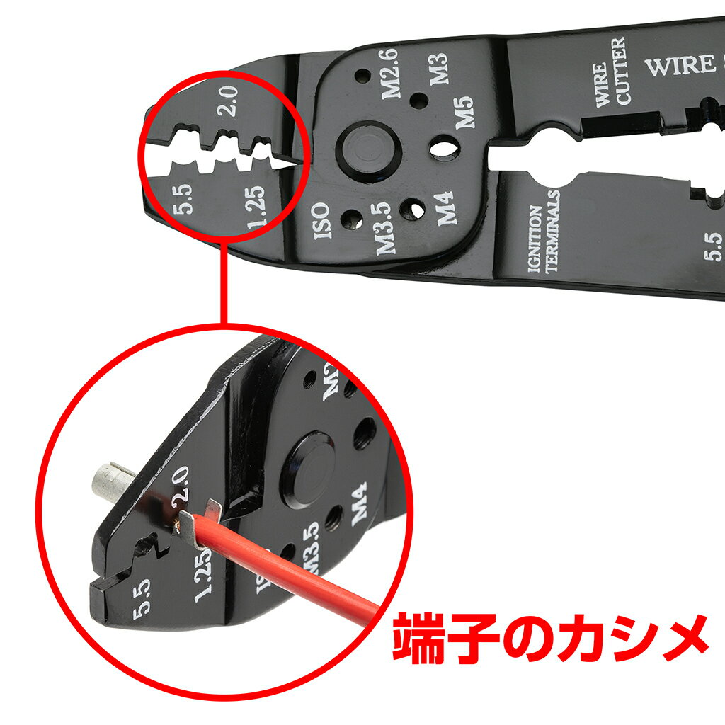 �Ź��ڥ�� 5in1 STRAIGHT/12-679 (STRAIGHT/���ȥ졼��)