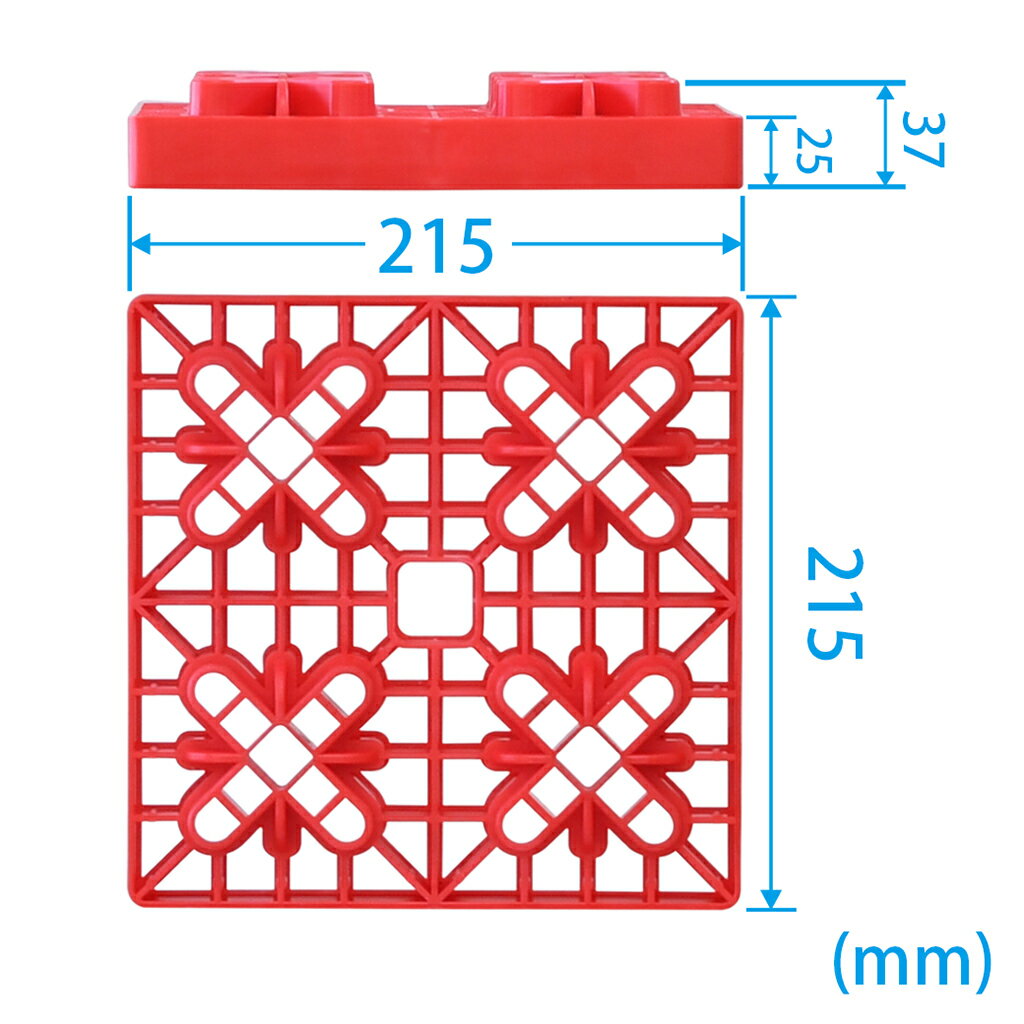 ������������ �����å��󥰥����� STRAIGHT/15-0810 (STRAIGHT/���ȥ졼��)