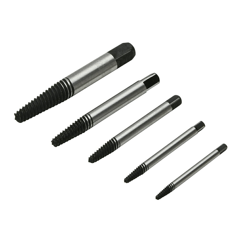 �ե��åץ��å� 5�ԡ��� STRAIGHT/19-3248 (STRAIGHT/���ȥ졼��)