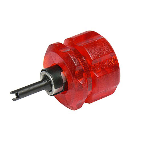 ������Х�֥����ġ��� �ߥ˥����� STRAIGHT/19-753 (STRAIGHT/���ȥ졼��)