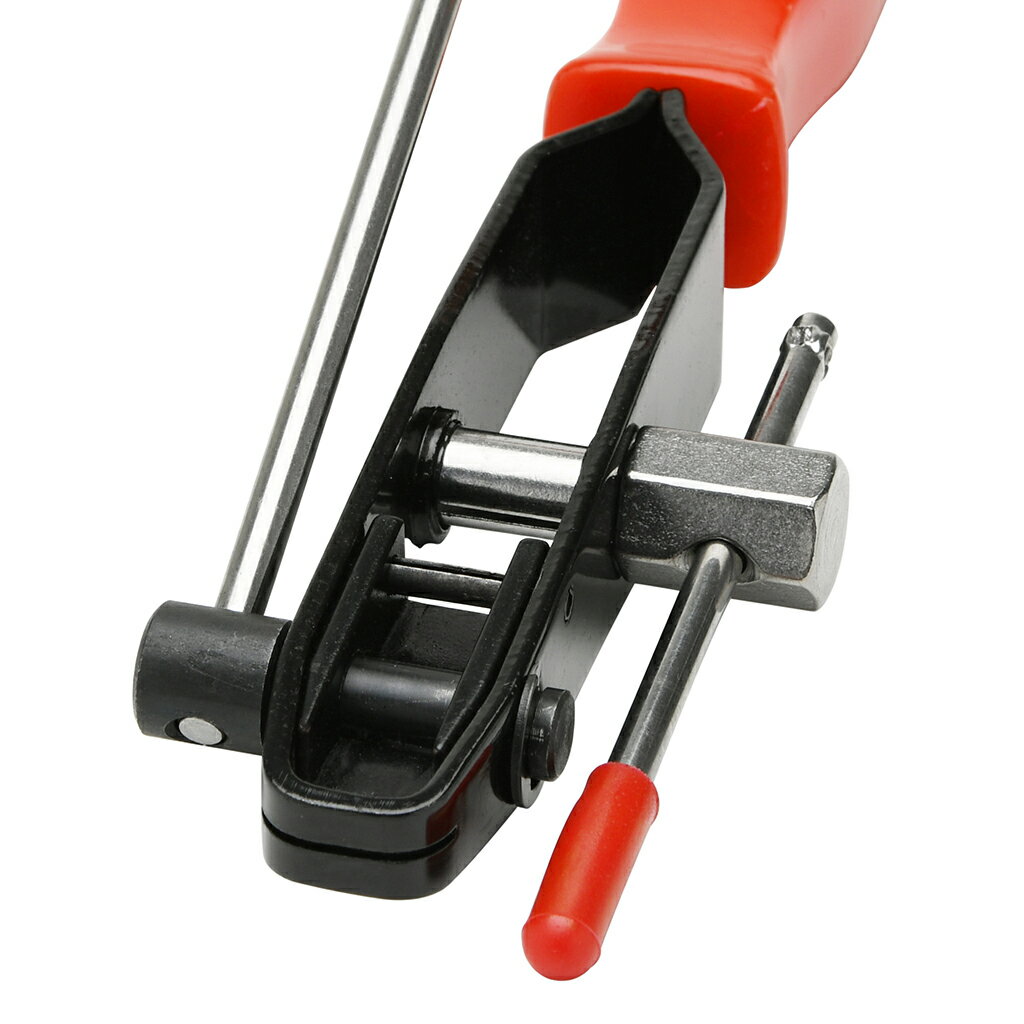 �֡��ĥХ�ɥġ��� STRAIGHT/19-9315 (STRAIGHT/���ȥ졼��)