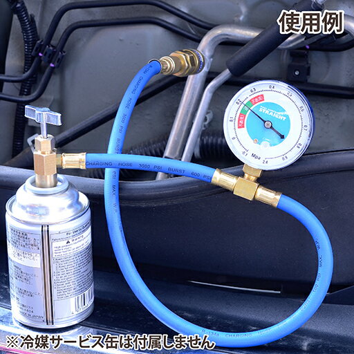 �������󥬥����㡼���ۡ����᡼�����դ� HFC-134a STRAIGHT/27-321 (STRAIGHT/���ȥ졼��)