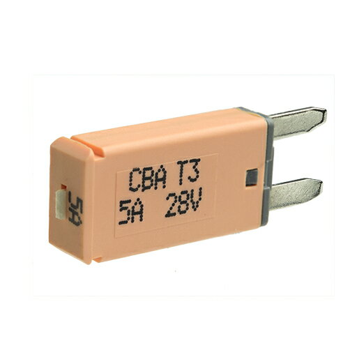 �֥졼�����ҥ塼���ƥ��ȥ��å� STRAIGHT/35-8000 (STRAIGHT/���ȥ졼��)