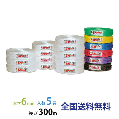 SKѥ(PP) No.6  6mm300m  5 ڿ۹