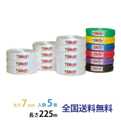 SKѥ(PP) No.7  7mm225m  5 ڿ۹