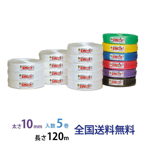 SKѥ(PP) No.10  10mm120m  5 ڿ۹