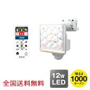 12W×1灯 フリーアーム式 LED センサーライト リモコン付 ブザー付 防犯 投光器