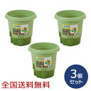 給水式菜園ポット300型 家庭菜園 菜園コンテナ 植木鉢 深型ポット 野菜栽培 お得な3個セット