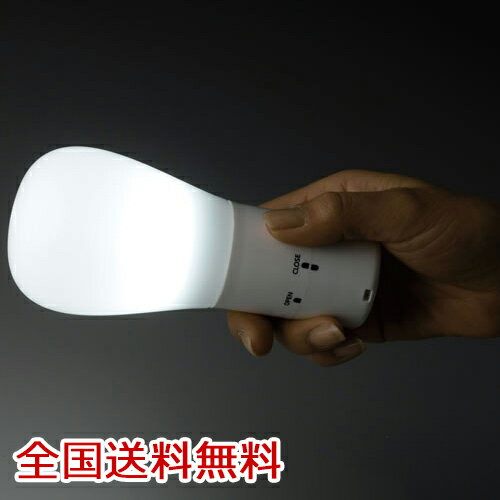 【ポイント10倍】持っても置いても便利な2WAYライト(LED) 懐中電灯 スタンド 電灯 携帯 防災 手持ち 【ポイント10倍】持っても置いても便利な2WAYライト(LED) 懐中電灯 スタンド 電灯 携帯 防災 手持ち
