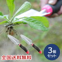 【ポイント10倍】植替え職人 頑丈根切りスコップ シャベル スコップ ガーデニング お得な3個セット