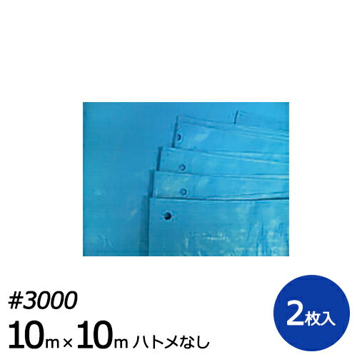 【ポイント10倍】ブルーシート #3000 10m×10m ハトメ無し 2枚入り