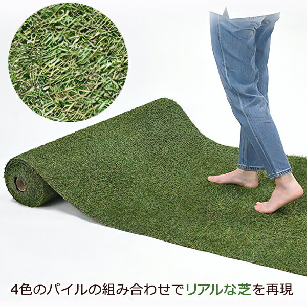 �͹��� �͹��ǥ����� 1m��10m ���𥷡������� ���åȤ��䤹�� �׸� ��Ϥ� ���������ˤ����͹���