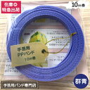 注意※こちらの商品は別途送料が発生します。 荷造り用の他、手芸用として篭や人形等の作成に人気のPPバンドです。 ◎カラー：群青 ◎特徴：安心の国産品（信越工業製） ◎品番：HT ■別途送料 こちらの商品は送料が発生いたします。 ※沖縄・離島への配送は対応しておりません。 ※法人様は御注文時に法人名や店名等のご入力をお願い致します。 通常色はこちら(各色選択できます♪) ◎通常色 白、赤、青、黄、緑、紫、黒、透明、ベージュ、ブラウン、透明青、透明黄、透明緑 特別色はこちら(各色選択できます♪) ◎特別色 深緑、群青、オレンジ、ピンク、こげ茶、グレー、透明ピンク、ストライプ（白・黒） 手芸用PPバンド専用スリッターはこちら 【サンユー印刷は、2023シーズン J1リーグへ昇格した「アルビレックス新潟」のオフィシャルクラブパートナーになりました。悲願のJ1復帰で新たな挑戦をするクラブを地元企業として微力ながらサポートさせていただきます】手芸用PPバンド 群青 信越工業製 手芸用 PPバンド 小巻 15mm×10m手芸用PPバンド 群青 信越工業製 手芸用 PPバンド 小巻 15mm×10m