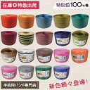 信越工業 手芸用PPバンド 小巻 特別色 15mm×100m