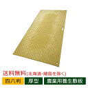 Diban 農業専用 養生敷板 四八判 ディバン ウッドプラスチックテクノロジー 厚型