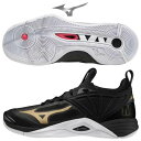 ~Ym WAVE MOMENTUM 2 EG[u [^ o[{[V[Y o[ V[Y V1GA211252 mizuno