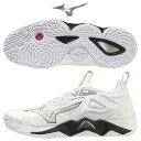 ~Ym WAVE MOMENTUM 3 EG[u [^ 3 o[{[ V[Y o[  ̈  zCg V1GA231251 mizuno