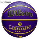 ウイルソン バスケットボール NBA PLAYER ICON LEBRON JAMES レブロン ジェームズ ロサンゼルス レイカーズ 7号 ラバー ボール W...