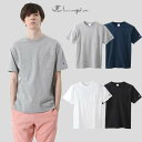 Tシャツ チャンピオン ベーシック T シャツ C3-M349 Champion -メール便01-