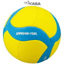 ~JT o[{[ 4 o[4 }V[ 220g STPEV4W-YSBL MIKASA -BO-