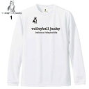 Tシャツ バレーボールジャンキー アタックナンバーわん！ロング Dry TEE VJ19514 volleyball Junky -メール便01- 2