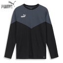 プーマ ウェア メンズ サッカー INDIVIDUAL レトロ トレーニング シャツ インディビジュアル フットサル スポーツ 658827-01 PUMA