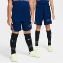 ナイキ ウェア サッカー ジュニア YTH CR7 Dri-FIT アカデミー23 ショートパンツ トレーニング スポーツ HF4346-492 NIKE