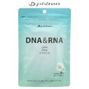 t@Ce X|[cHi Tvg DNA&RNA  180 GS560000 phiten -BO-