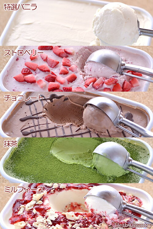 1L アイスクリーム ・ 2個 セット 業務用 大容量
