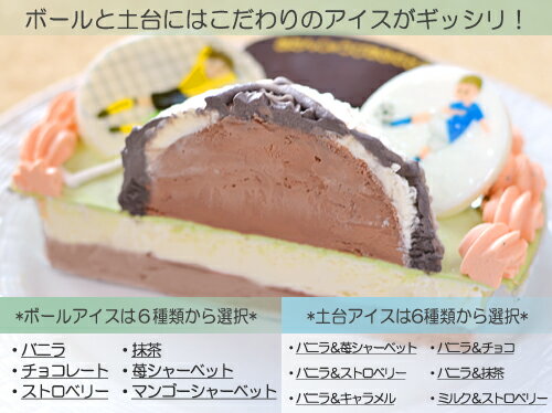 アイスケーキ〜サッカータイプ5号の紹介画像2