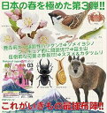 【ネイチャーテクニカラー】日本のいきもの 03 Nature of Japan ガチャ　●・アユ(鮎)【単品】奇譚クラブ