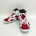 yÁzNIKE AIR JORDAN 6 RETRO CARMINE GAW[_6 g J[}C Xj[J[ nCJbg V[Y Y 28cm zCg/bh iCL C DF10360