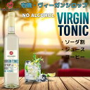 ホリンガー 有機 ノンアルコール トニック バーシロップ VIRGIN TONIC 500ml 賞味期限2025年9月4日以降 日本もったいない食品センター ecoeat エコイート 通販 賞味期限切れ 賞味期限切迫 規格外 訳アリ 食品