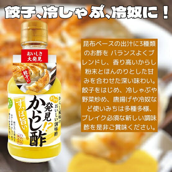 発見！？からし酢 210ml アイデアパッケージ 賞味期限2024年5月16日 日本もったいない食品センター ecoeat エコイート 通販 賞味期限切れ 賞味期限切迫 規格外 訳アリ 食品