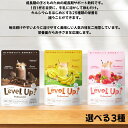 Level Up! Professional 135g 1袋一ヶ月分 約30杯分 旧パッケージ 選べる3種(ココアミルク風味 バナナミルク風味 イチゴミルク風味...