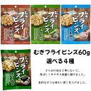 むきフライビンズ 60g そら豆 選べる4種(黒胡椒 わさび うま塩 のり塩) 賞味期限2025年9月26日以降 日本もったいない食品センター ecoeat エコイート 通販 賞味期限切れ 賞味期限切迫 規格外 訳アリ 食品