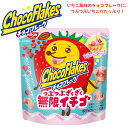 日清シスコ チョコフレーク つぶつぶざくざく 無限イチゴ 30g 賞味期限2026年1月31日以降 日本もったいない食品センター ecoeat エコイート 通販 賞味期限切れ 賞味期限切迫 規格外 訳アリ 食品