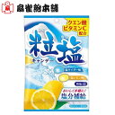 扇雀飴本舗 粒塩キャンデー 50g 個包装 賞味期限2026年5月31日 日本もったいない食品センター ecoeat エコイート 通販 賞味期限切れ 賞味期限切迫 規格外 訳アリ 食品