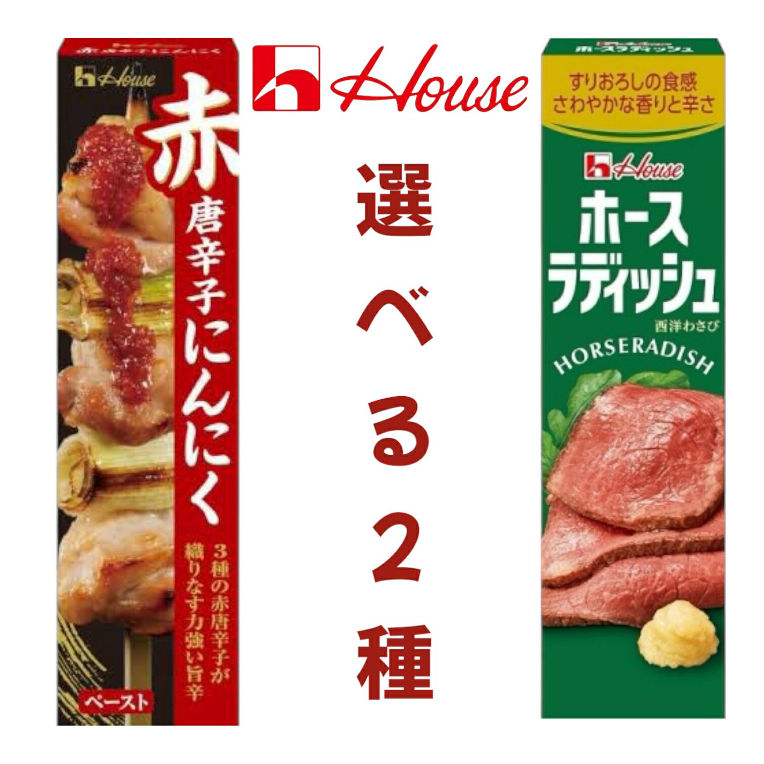 ハウス食品 調味料 香辛料 練りスパイス 選べる2種 (赤唐辛子にんにく40g ホースラディッシュ40g) 西洋わさび 賞味期限2025年11月30日 日本もっ...