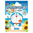 ドラえもん かき氷シロップ 5種アソート 21g×5個入 個包装 賞味期限2025年12月22日 日本もったいない食品センター ecoeat エコイート 通販 ...