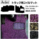 ブルーテックキャンター ワイド フットなし コイルフロアマットヒールパッド有り 運転席 助手席2枚セット H22~