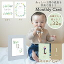 【5月5日限定！210円OFF】マンスリーカード 妊娠中~3歳まで使える 月齢カード 月齢フォト マ ...