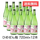 送料無料 一ノ蔵 ひめぜん 梅 720ml 1ケース （ 12本入り ） お酒 日本酒 梅酒 一の蔵