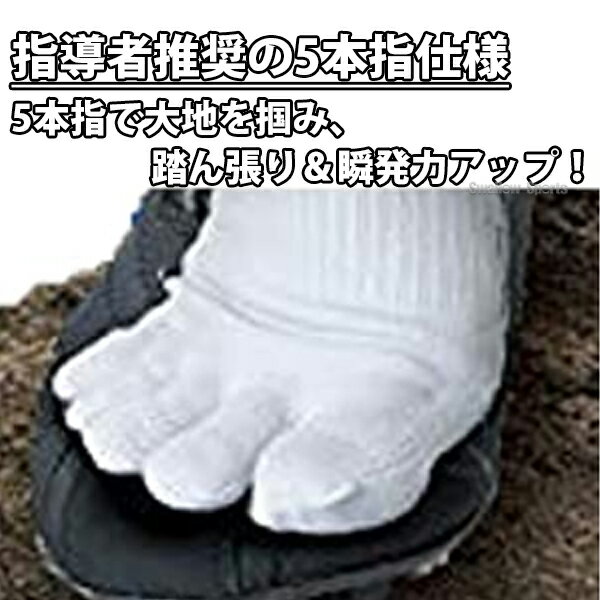 【10日:全品ポイント8倍:スーパーセール】野球 ゼット ZETT 3P 5本指 ソックス アンダーソックス ロングソックス ハイソックス 3足組 BK035L 24〜27cm 靴下 野球部 野球用品 スワロースポーツ